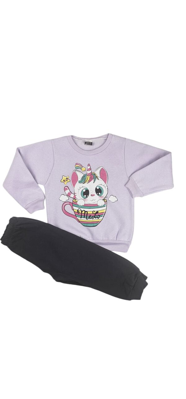 Sweatshirt-Set 1-2-3-4 Jahre für Mädchen.